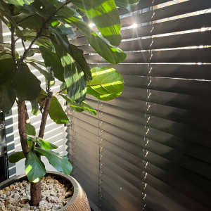 Zwarte houten jaloezieën koord